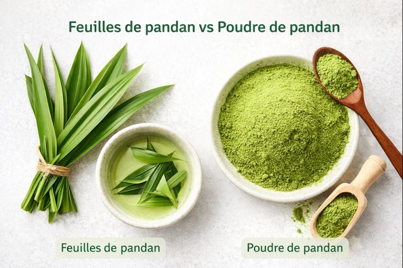 Feuilles de pandan fraîches vs poudre de pandan : les différences clés