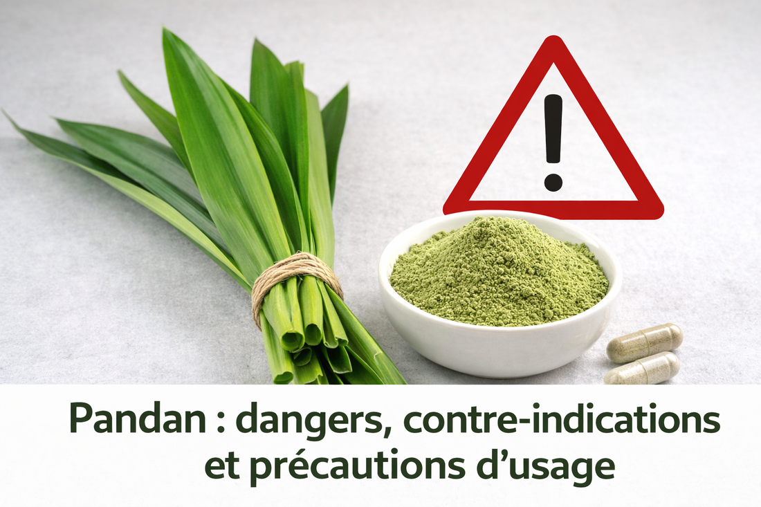 Pandan : dangers, contre-indications et précautions d’usage