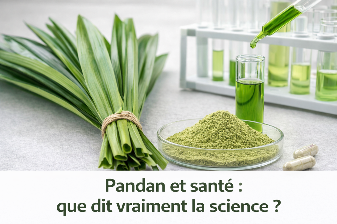 Pandan et santé : que dit vraiment la science ?