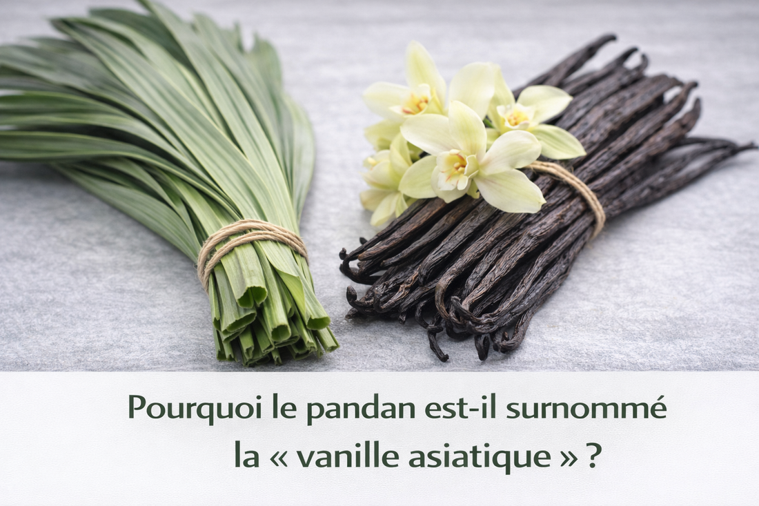 Pourquoi le pandan est-il surnommé la « vanille asiatique » ?