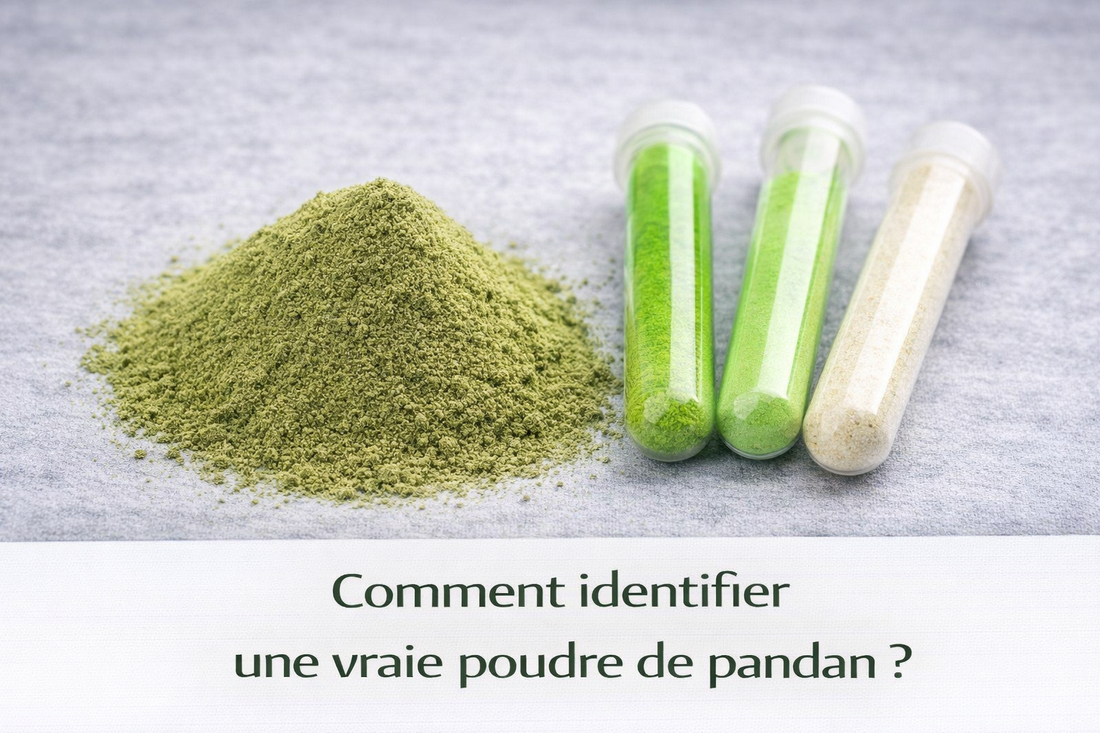 Comment identifier une vraie poudre de pandan ?